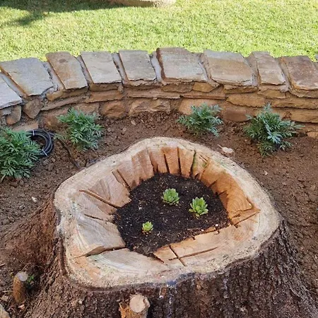 Vilă Rustik Kotel