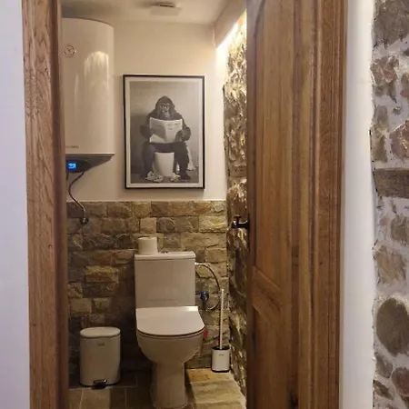 Vilă Rustik Kotel